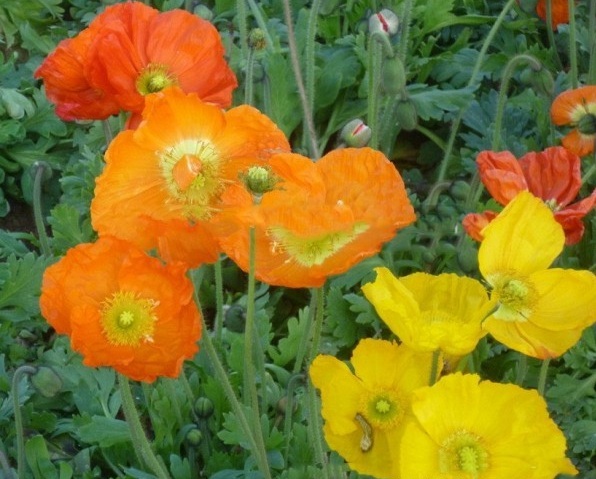 1628428179854709.jpg 1628428158(1).jpg