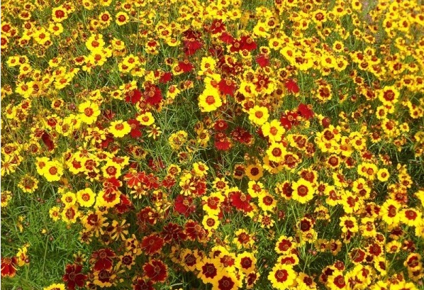 1628428592649000.jpg 1628428564(1).jpg