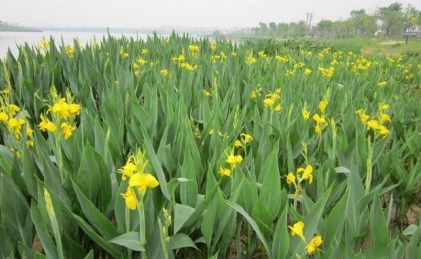 1628470287344642.jpg 1628470277.jpg