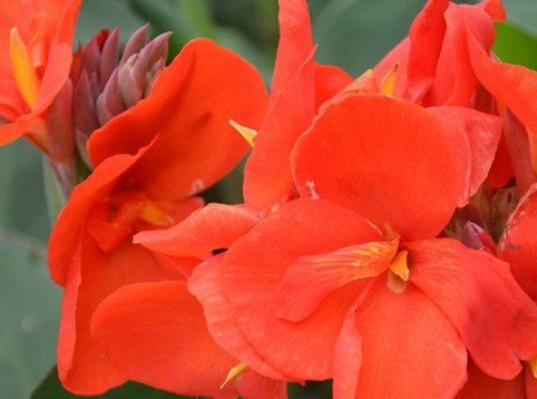 1628477133742299.jpg image.jpg