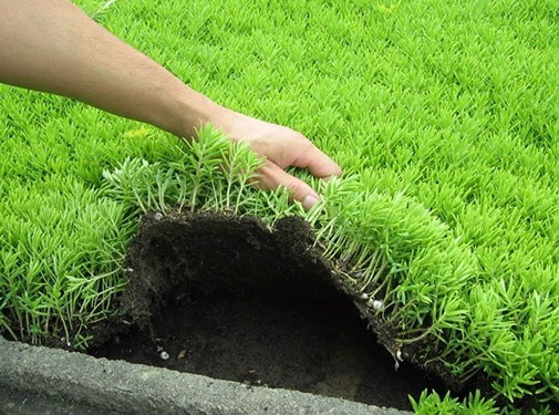 1628551959338459.jpg image.jpg