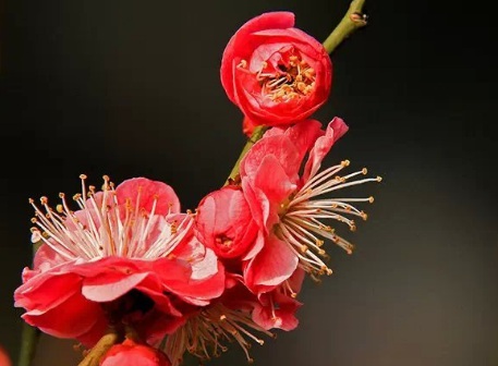 1628552815591761.jpg image.jpg