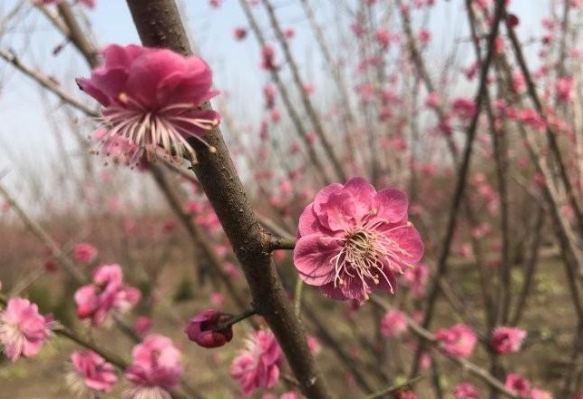 1628586434213958.jpg 1628586424(1).jpg