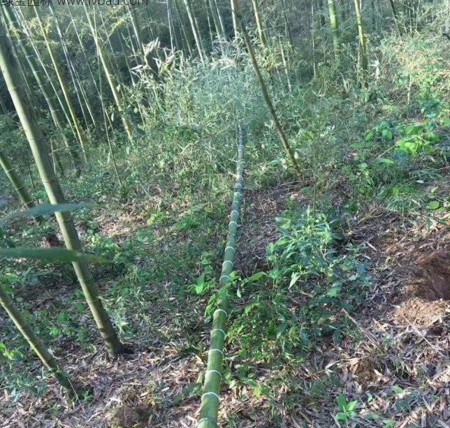 1628586879191821.jpg 1628586868(1).jpg