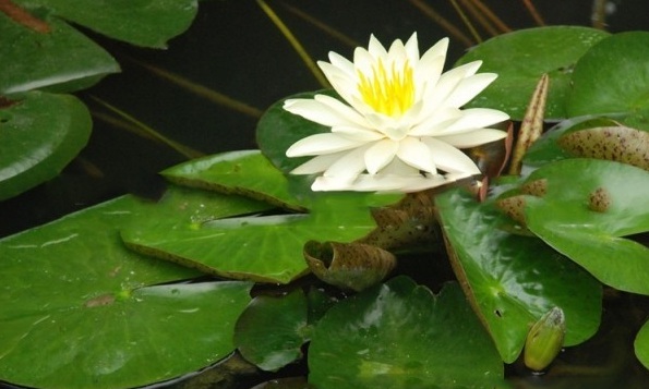 1628587322618347.jpg 1628587313(1).jpg