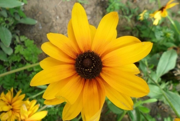 1628588546987885.jpg 1628588540(1).jpg