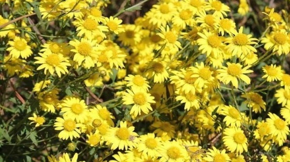 1628589179330912.jpg 1628589171(1).jpg