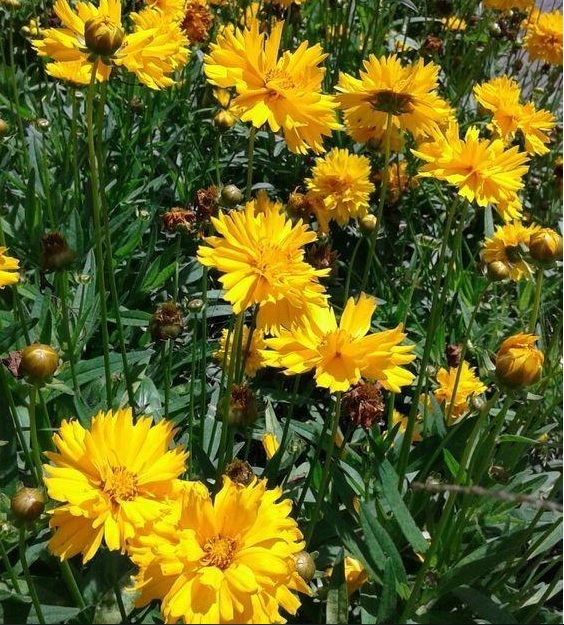 1628599791436416.jpg 1628599784(1).jpg