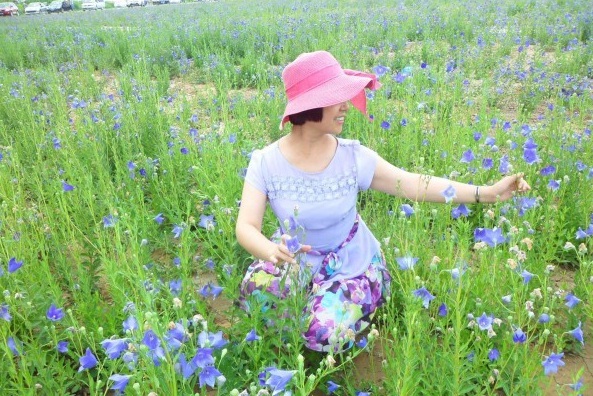 1628662704880911.jpg image.jpg