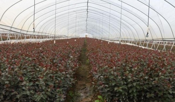 1628665076536607.jpg image.jpg