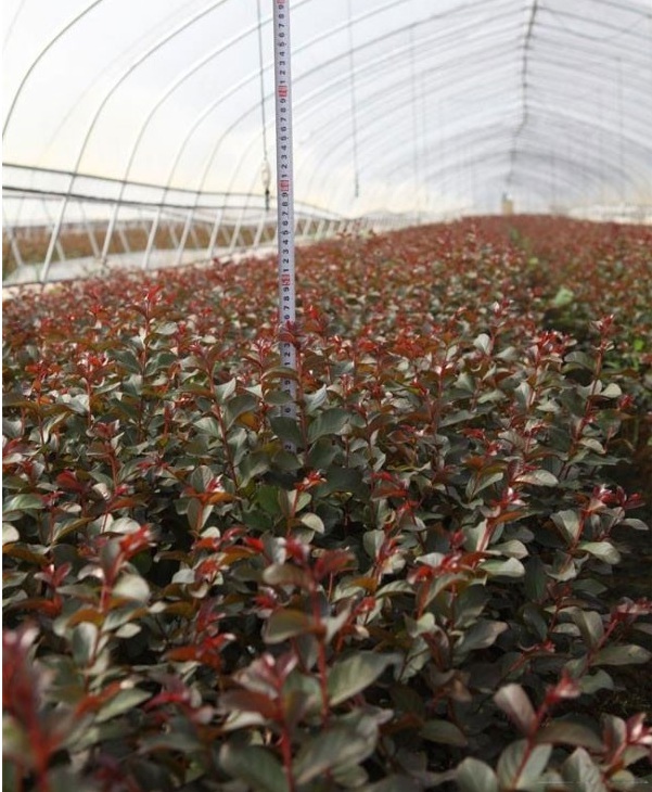 1628665085264233.jpg image.jpg