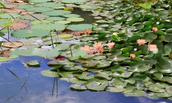 1628665428757908.jpg image.jpg