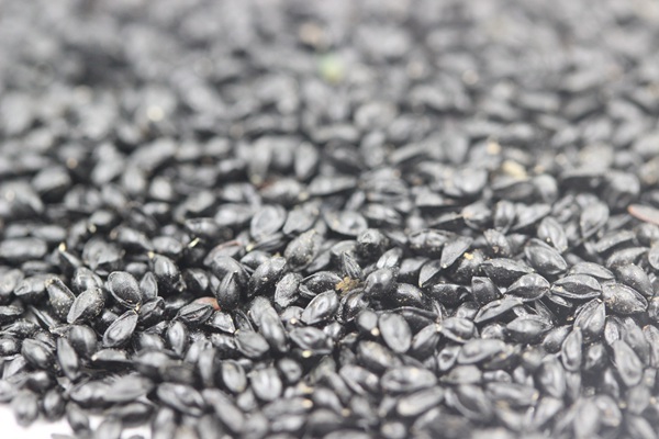 1628667537427620.jpg image.jpg