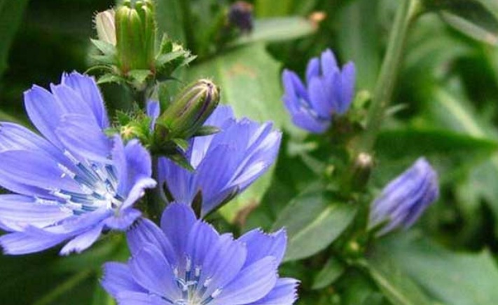 1628668194251574.jpg 聚聚2.jpg