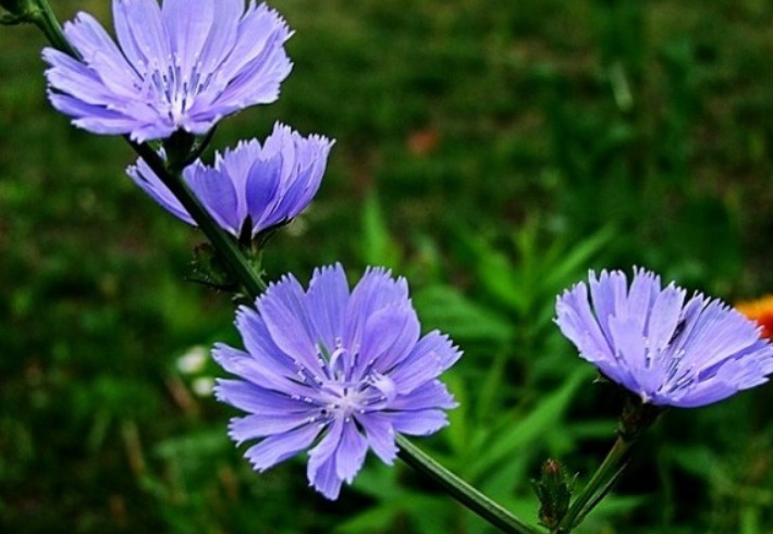 1628668226931611.jpg 聚聚3.jpg