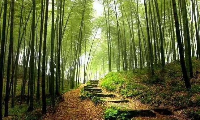 1628671480512003.jpg image.jpg