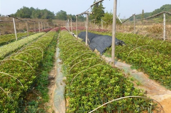 1628671869639136.jpg image.jpg