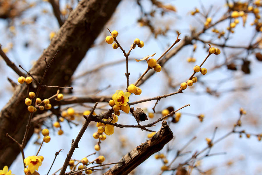 1628681229309475.jpg 1628681229309475.jpg