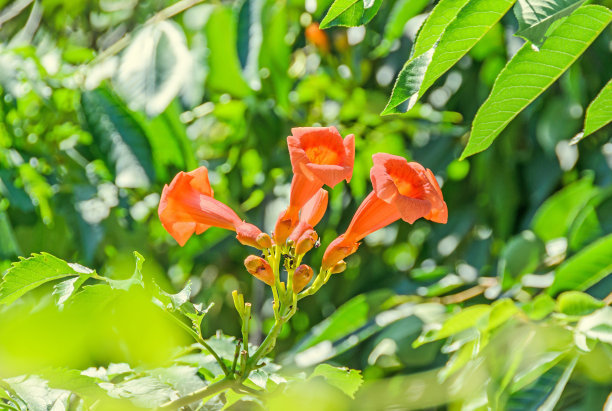 1628681524552808.jpg 1628681524552808.jpg