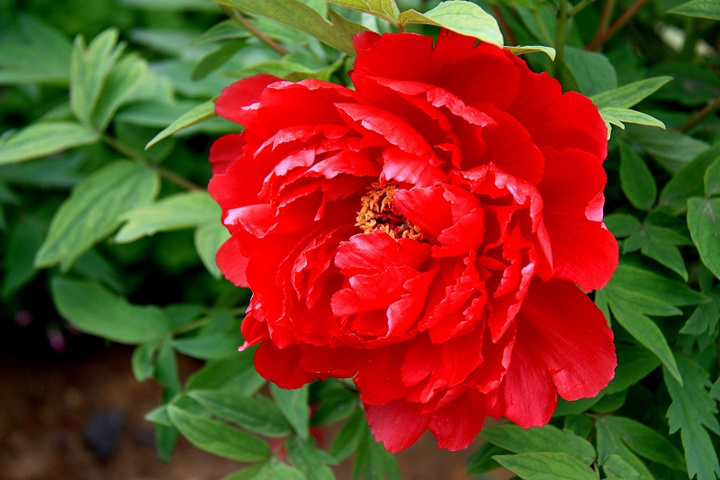 1628681985883823.jpg 1628681985883823.jpg