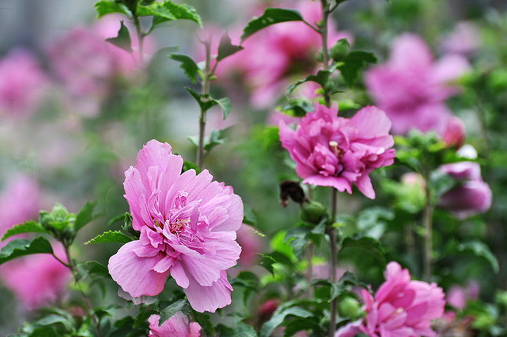 1628682192230475.jpg 1628682192230475.jpg