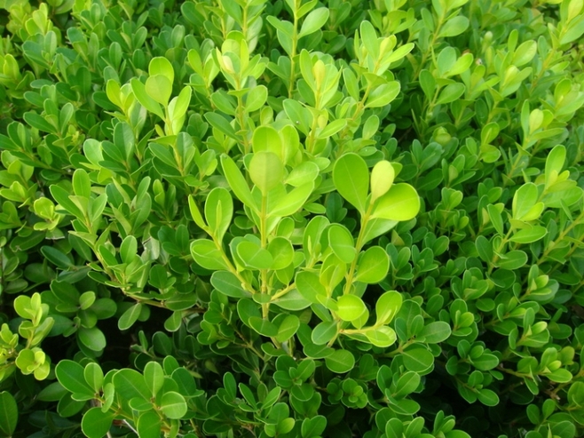 1628683429289361.jpg 1628683429289361.jpg