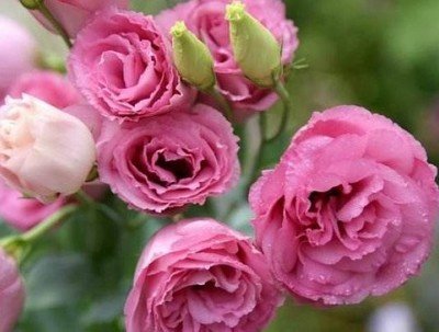 1628683878201228.jpg 1628683878201228.jpg