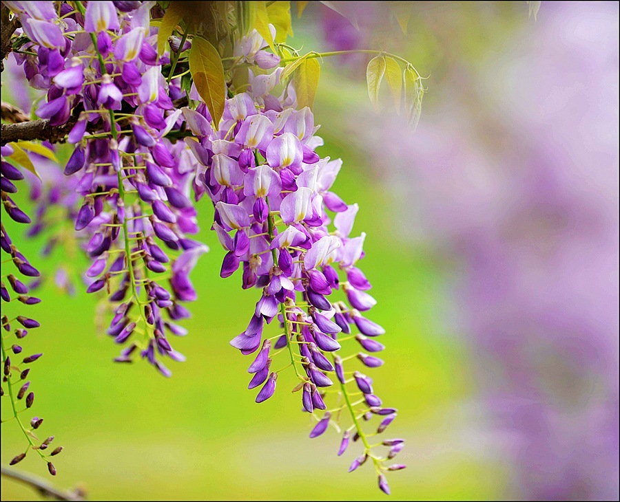 1628684877377925.jpg 1628684877377925.jpg