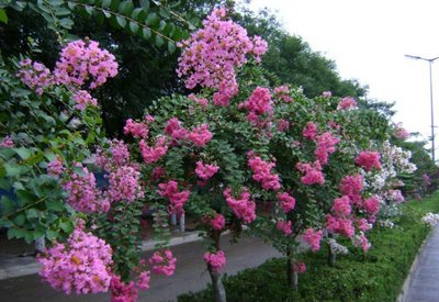 1628685298617377.jpg 1628685298617377.jpg