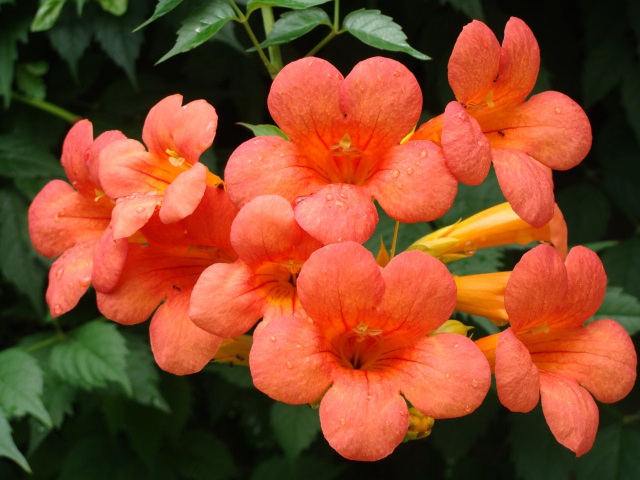 1628766583810113.jpg 1628766583810113.jpg