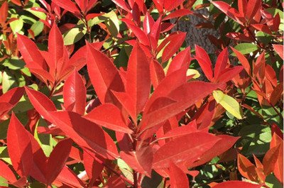 1628767922329711.jpg 1628767922329711.jpg