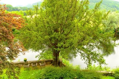 1628768511758916.jpg 1628768511758916.jpg