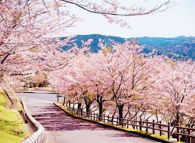 1628770553358344.jpg 1628770553358344.jpg