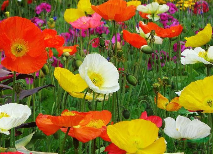 1628770692506389.jpg 1628770692506389.jpg