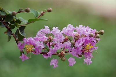 1628770939583044.jpg 1628770939583044.jpg