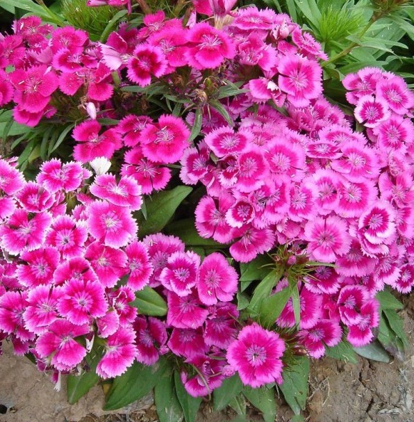 1628772094499960.jpg 1628772073(1).jpg