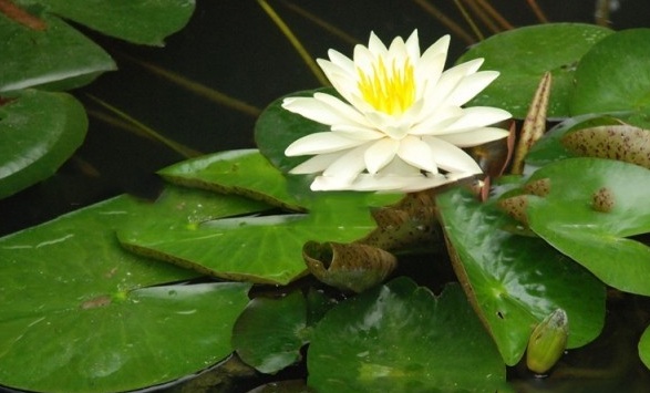 1628774097784408.jpg 1628774076(1).jpg