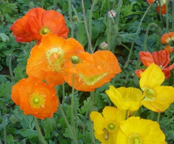 1628774738803773.jpg RZLM9N~[)([AJ_4$$_U1~)8.jpg