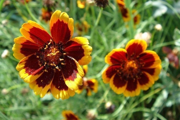 1628775652175555.jpg 2H_$8KLFX9YC(R[7[ZCQI[N.jpg