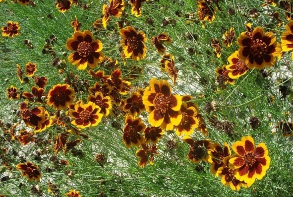 1628775668461388.jpg _~ZAY{YD8KW$55GVML@U)~P.jpg