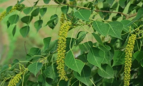 1628775847480251.jpg SC6Y4UBRU~4`1$@HKBAHCVN.jpg