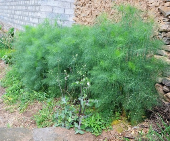 1628777722191429.jpg JIAK(T@ZO)%{3QV97S~Z21Y.jpg