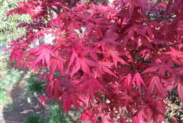 1628778639951962.jpg }{ZQ(7YWC@`507KR`H8MKZW.jpg