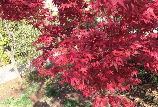 1628778666214493.jpg WQ~BA1YB46~OK6U57SWZG`S.jpg