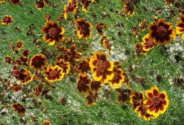 1628781673137042.jpg _}OQ}VEHO_@}U`%UZ{)Y%GS.jpg