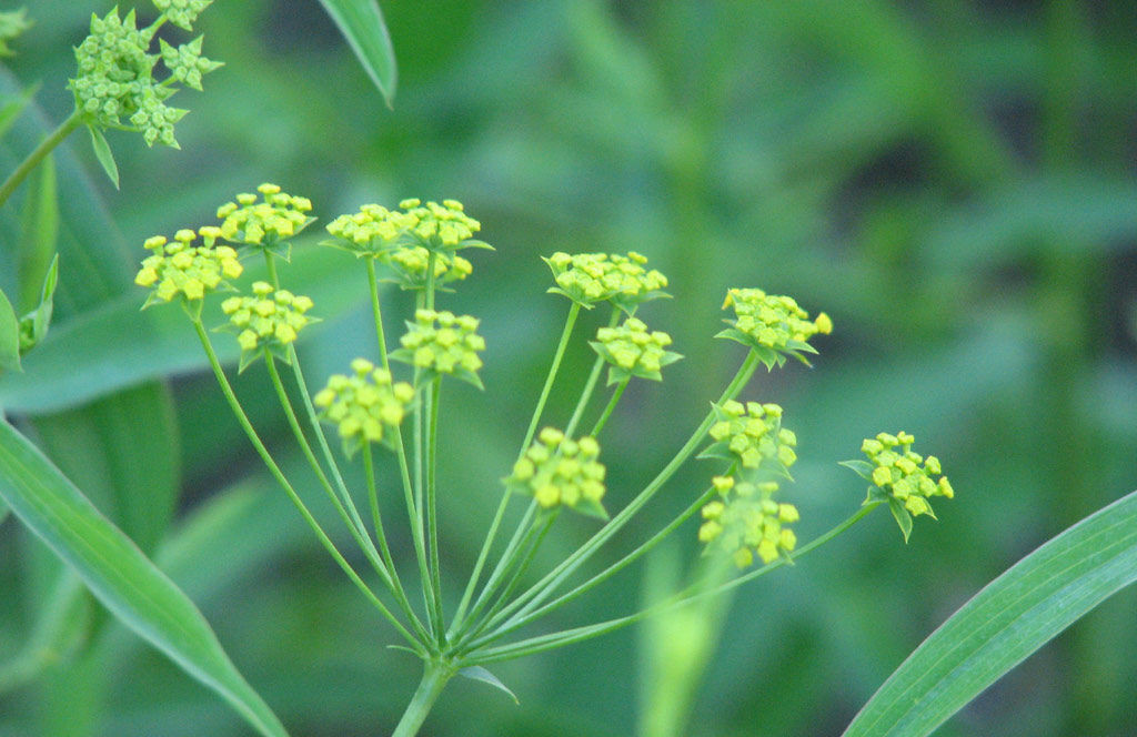 1628853219681235.jpg 1628853219681235.jpg