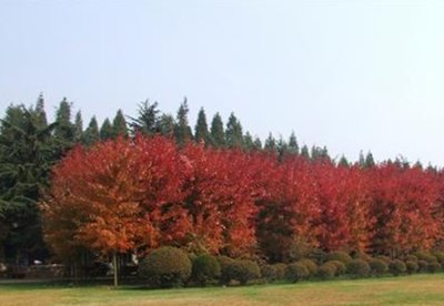 1628854482682176.jpg 1628854482682176.jpg