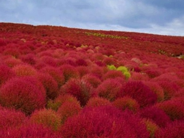 1628854627763767.jpg 1628854622(1).jpg