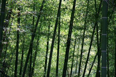 1628854952129527.jpg 1628854952129527.jpg