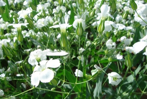 1628855685136758.jpg 1628855678(1).jpg